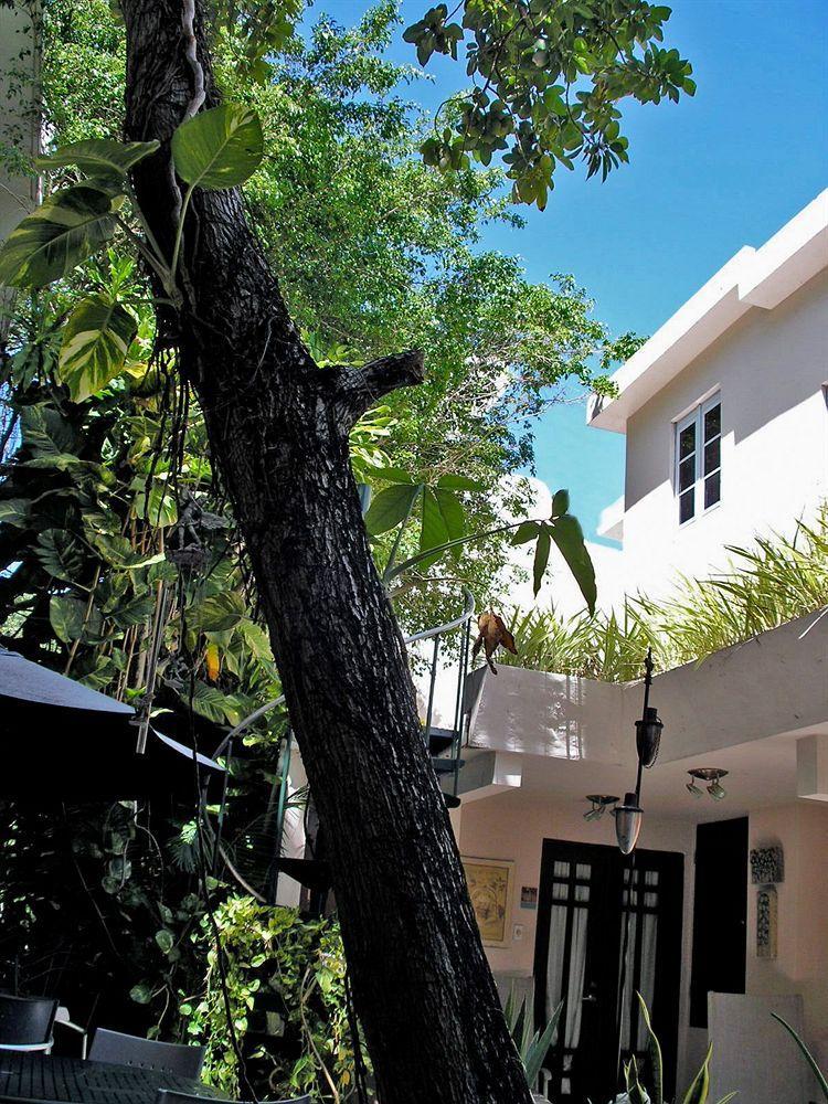 Oceana Hostal Playero San Juan Exteriör bild